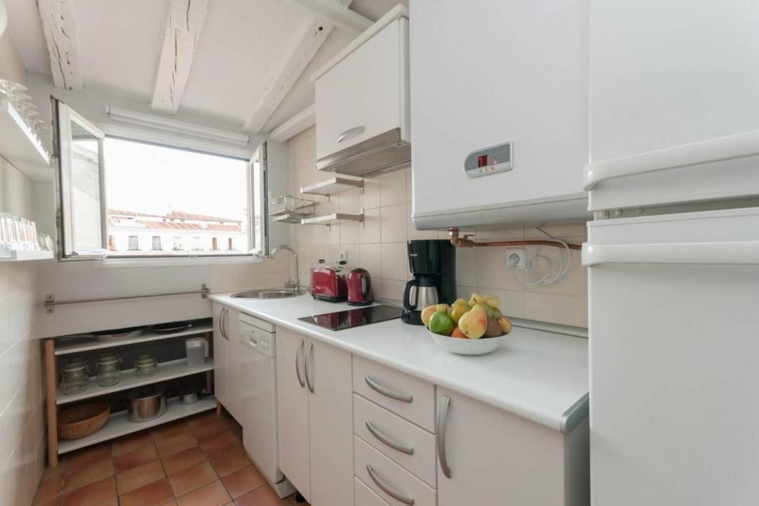 Cozy One-Bedroom Penthhouse La Latina Madrid Exterior foto